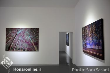 نمایشگاه آثار سمانه وفایی در گالری اعتماد نگارستان