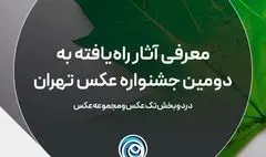 اعلام اسامی آثار راه یافته به دومین جشنواره عکس تهران
