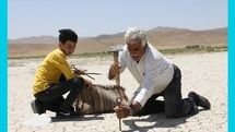 Iranian documentary to vie at SUNCINE Environmental FilmFest.