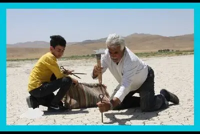Iranian documentary to vie at SUNCINE Environmental FilmFest.