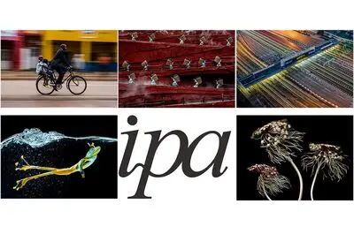 شش برنده مسابقه عکاسی IPA معرفی شدند / حسین فرمانی: عکاسان نشان دادند زندگی با شور و هیجان در حرکت است