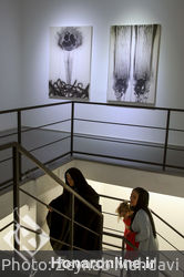 نمایشگاه نقاشی محسن حیدری در گالری اعتماد نگارستان