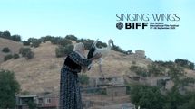 راهیابی مستند «بالهای آوازخوان» به بخش مسابقه جشنواره بوسان