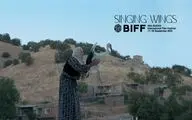 راهیابی مستند «بال‌های آوازخوان» به بخش مسابقه جشنواره بوسان