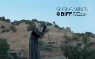 راهیابی مستند «بال‌های آوازخوان» به بخش مسابقه جشنواره بوسان
