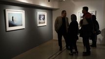نمایشگاه عکس شقایق کریمی در گالری شکوه