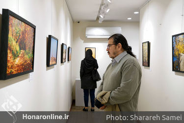 چهاردهمین نمایشگاه گروهی انجمن عکاسان نگاه در نگارخانه بهارک