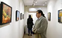چهاردهمین نمایشگاه گروهی انجمن عکاسان نگاه در نگارخانه بهارک