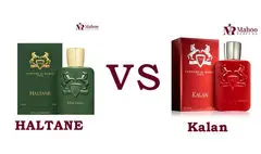 مقایسه عطرمارلی هالتان مردانه بامارلی کالان کیلان | کدام ارزش خرید دارد؟