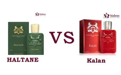 مقایسه عطرمارلی هالتان مردانه بامارلی کالان کیلان | کدام ارزش خرید دارد؟