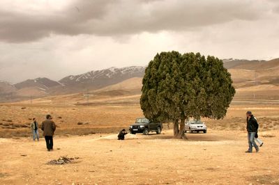 مجسمه کیارستمی زیر تک‌درخت روستای آرو نصب می‌شود