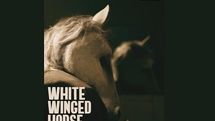 White Winged Horse to Vie at Berlinale's Generation 