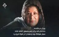 هنرمندان در سوگ رییس جمهور شهید چه گفتند؟ (قسمت دوّم)