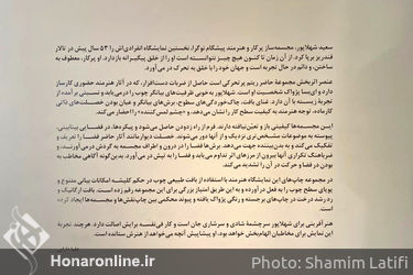 نمایشگاه آثار سعید شهلاپور در گالری ایرانشهر
