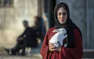 Three Iranian films to compete in Tokyo International Film Festival 