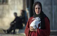 Three Iranian films to compete in Tokyo International Film Festival 