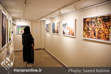 نمایشگاه عکس محمد صادق نیک‌نهاد در گالری گلستان