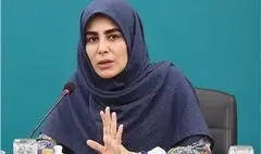 نادره رضایی در جلسه کمیسیون فرهنگی مجلس چه گفت؟