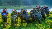 Elephant Safari Wins DIGIPIX Gold Award in India 