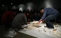 سی پرفورمنس، سی هنرمند، سی روز 26