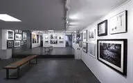 Mojdeh Gallery Annual Photo Exhibition Underway