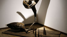 A Gallery showing Naser Giv Ghassab art