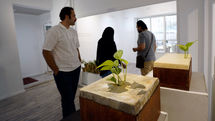 Hepta Gallery displaying decorative group painting