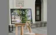جشنواره 