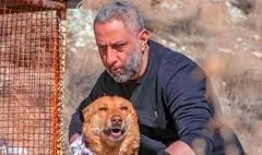 «سگ زرد» به صداگذاری رسید