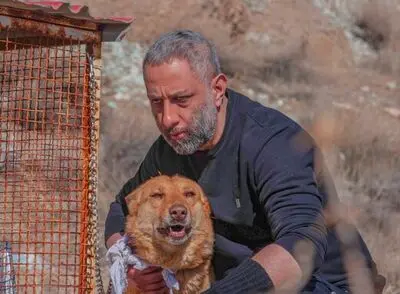«سگ زرد» به صداگذاری رسید