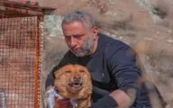«سگ زرد» به صداگذاری رسید