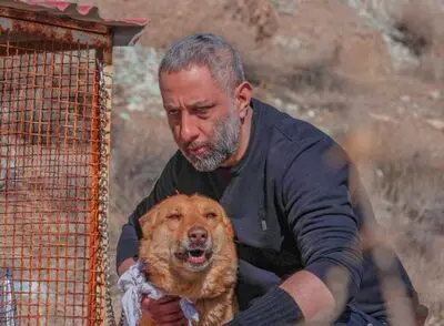 «سگ زرد» به صداگذاری رسید