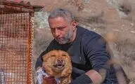 «سگ زرد» به صداگذاری رسید