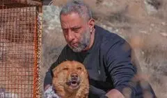 «سگ زرد» به صداگذاری رسید
