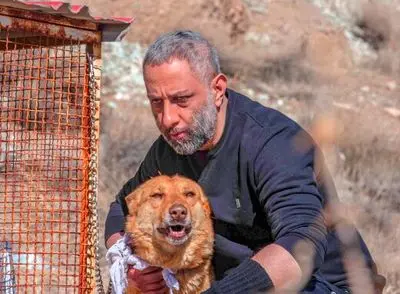 «سگ زرد» به صداگذاری رسید