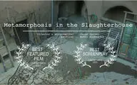 'Metamorphosis in Slaughterhouse' wins 2 awards in Spain