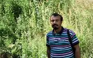 داستان‌های زندگی بر سنگ‌ / روایت حجت سالارمحمدی از نمایشگاه 