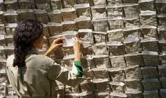 «نامه‌هایی از بیروت»؛ چیدمان خواهران هنرمند لبنانی در دوسالانه معماری ونیز