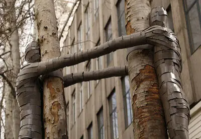اجرای ۳۳ اثر هنری روی درختان خشکیده تهران
