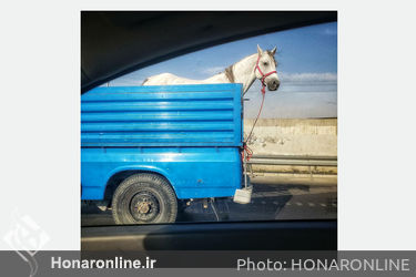 نمایشگاه عکس آرش پژوه در نگارخانه شمیده