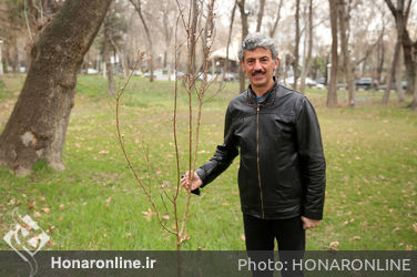 کاشت نهال توسط هنرمندان در فرهنگسرای نیاوران