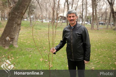 کاشت نهال توسط هنرمندان در فرهنگسرای نیاوران