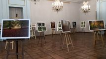 Photo exhibit promotes Hyrcanian Forest 