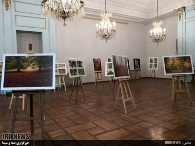 Photo exhibit promotes Hyrcanian Forest 