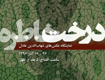 واکنشی هنرمندانه به تخریب محیط زیست / عکس‌های شهاب‌الدین عادل به موزه‌گالری "دیدی" می‌رود