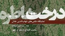 واکنشی هنرمندانه به تخریب محیط زیست / عکسهای شهابالدین عادل به موزهگالری