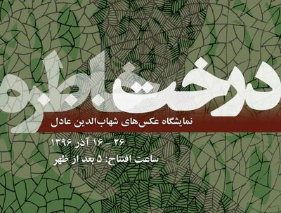 واکنشی هنرمندانه به تخریب محیط زیست / عکس‌های شهاب‌الدین عادل به موزه‌گالری "دیدی" می‌رود