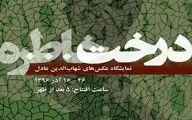واکنشی هنرمندانه به تخریب محیط زیست / عکس‌های شهاب‌الدین عادل به موزه‌گالری 