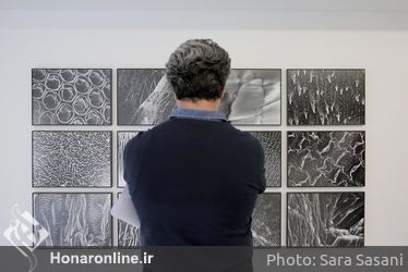 نمایشگاه عکس امیرحسین شایگان در گالری والی