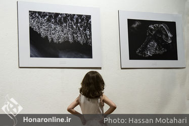 آئین افتتاحیه نمایشگاه عکاسی داریوش محمدخانی در فرهنگسرای نیاوران 